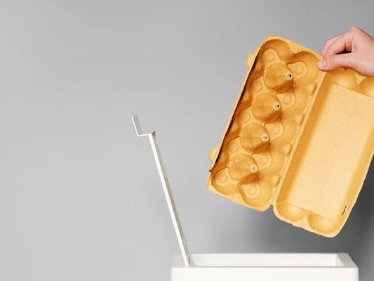 Et si on lombricompostait les boites d'oeufs - Compost Up